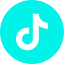 Tiktok icon